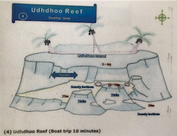 Udhdhoo Reef